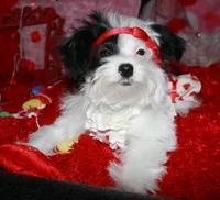 processed/1e84a876-3a1a-450a-a575-aca3db9d362a/listing/c730ccbd-4a4d-49ba-9ddd-e440e3e48543/860db896-797e-401b-aa5f-20fdc68d0fb0