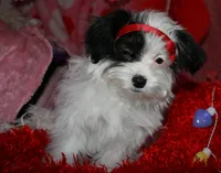 processed/1e84a876-3a1a-450a-a575-aca3db9d362a/listing/c730ccbd-4a4d-49ba-9ddd-e440e3e48543/94627f72-2946-4ffe-955a-3f3793fa4657