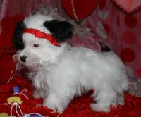 processed/1e84a876-3a1a-450a-a575-aca3db9d362a/listing/c730ccbd-4a4d-49ba-9ddd-e440e3e48543/cfcb2123-dc39-4b4b-b934-70362789dc81