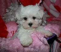 processed/1e84a876-3a1a-450a-a575-aca3db9d362a/listing/fcea91d4-a8f4-45fe-b77e-f1d6dc78904d/012ab133-959e-4fcd-a640-e2e52392dc3b