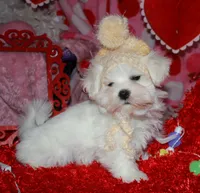 processed/1e84a876-3a1a-450a-a575-aca3db9d362a/listing/fcea91d4-a8f4-45fe-b77e-f1d6dc78904d/0d0fa79b-8daf-40f7-9423-e87fb5f0eb0c