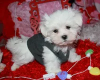 processed/1e84a876-3a1a-450a-a575-aca3db9d362a/listing/fcea91d4-a8f4-45fe-b77e-f1d6dc78904d/84c5ae43-fbd1-4ddb-8af5-d601b9cb2537