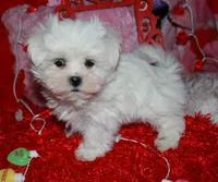 processed/1e84a876-3a1a-450a-a575-aca3db9d362a/listing/fcea91d4-a8f4-45fe-b77e-f1d6dc78904d/b3fdfd9b-a59b-4604-99d7-b5c124fa108f