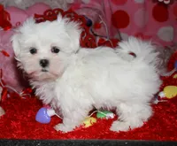 processed/1e84a876-3a1a-450a-a575-aca3db9d362a/listing/fcea91d4-a8f4-45fe-b77e-f1d6dc78904d/dfbe1514-b9ce-4155-a98b-000272cec776