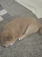 processed/1e85afa9-f8a8-4cb9-891e-3aed98ac9b7c/listing/fbab15ad-cf9c-4872-af73-01c64d808f9d/236906c4-196a-4478-a494-5da27f7e028c