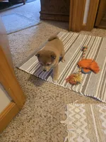 processed/1e85afa9-f8a8-4cb9-891e-3aed98ac9b7c/listing/fbab15ad-cf9c-4872-af73-01c64d808f9d/32a70e12-ae05-42fb-adbc-836eb0b68061