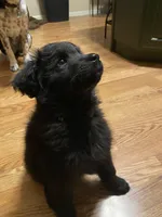 processed/1e887c3d-6dd1-4ee1-ab09-a288f73a3bde/listing/03581fcb-5a09-4722-b428-722de56f5c57/6fa3f128-b743-499c-9406-a753c2842b52