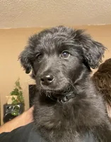 processed/1e887c3d-6dd1-4ee1-ab09-a288f73a3bde/listing/03581fcb-5a09-4722-b428-722de56f5c57/883c4c3f-82bd-4d25-abdb-b012c22f4123