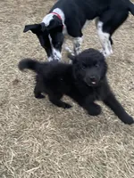 processed/1e887c3d-6dd1-4ee1-ab09-a288f73a3bde/listing/03581fcb-5a09-4722-b428-722de56f5c57/dd78cca4-a6ef-4dd4-97c1-5116a0156635