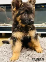 processed/1e8e5ab1-b064-4355-b3c1-8549acef4e86/listing/526fffd1-1c8a-4885-a42d-d4ec0c820f08/68cd8966-cd31-4239-87de-af4f2ff6dfd0