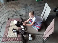 processed/1e912ba0-a5dd-4e4a-bb8b-91777f27da0a/facility/05426401-285f-4dd4-8112-7d8a2242985e