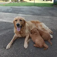 processed/1e912ba0-a5dd-4e4a-bb8b-91777f27da0a/facility/0d4e18af-d0cf-4cec-9f3a-79017da5bd97