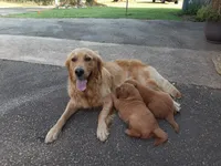 processed/1e912ba0-a5dd-4e4a-bb8b-91777f27da0a/facility/0d4e18af-d0cf-4cec-9f3a-79017da5bd97