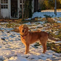 processed/1e912ba0-a5dd-4e4a-bb8b-91777f27da0a/facility/46b9deef-c162-4cc6-844a-1487b95b9e67