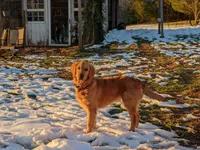 processed/1e912ba0-a5dd-4e4a-bb8b-91777f27da0a/facility/46b9deef-c162-4cc6-844a-1487b95b9e67