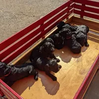 processed/1e912ba0-a5dd-4e4a-bb8b-91777f27da0a/facility/5e0e6617-f15a-4530-863d-b7c2de7aabb7