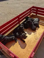 processed/1e912ba0-a5dd-4e4a-bb8b-91777f27da0a/facility/5e0e6617-f15a-4530-863d-b7c2de7aabb7