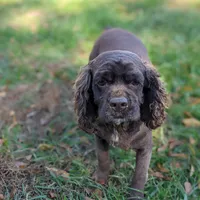 processed/1e912ba0-a5dd-4e4a-bb8b-91777f27da0a/facility/737d2461-beeb-41a5-8224-28dda17921af