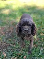 processed/1e912ba0-a5dd-4e4a-bb8b-91777f27da0a/facility/737d2461-beeb-41a5-8224-28dda17921af