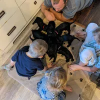 processed/1e912ba0-a5dd-4e4a-bb8b-91777f27da0a/facility/930c0872-f8a8-4a6a-9f35-193ed20c3643