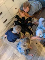 processed/1e912ba0-a5dd-4e4a-bb8b-91777f27da0a/facility/930c0872-f8a8-4a6a-9f35-193ed20c3643