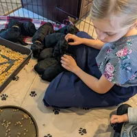 processed/1e912ba0-a5dd-4e4a-bb8b-91777f27da0a/facility/ba93ecc0-3756-464a-beee-1c6d42a73f17