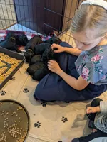 processed/1e912ba0-a5dd-4e4a-bb8b-91777f27da0a/facility/ba93ecc0-3756-464a-beee-1c6d42a73f17