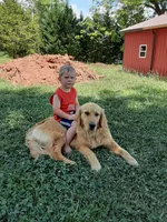 processed/1e912ba0-a5dd-4e4a-bb8b-91777f27da0a/facility/c154df43-5964-4a49-afae-0b08c22b3e26