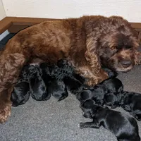 processed/1e912ba0-a5dd-4e4a-bb8b-91777f27da0a/facility/caaa18f7-4e0e-48d3-a346-62a8d4bbb79f