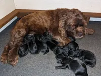 processed/1e912ba0-a5dd-4e4a-bb8b-91777f27da0a/facility/caaa18f7-4e0e-48d3-a346-62a8d4bbb79f