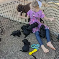 processed/1e912ba0-a5dd-4e4a-bb8b-91777f27da0a/facility/f3a189b1-6eb1-407e-839b-3bbddfa256dd