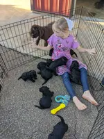 processed/1e912ba0-a5dd-4e4a-bb8b-91777f27da0a/facility/f3a189b1-6eb1-407e-839b-3bbddfa256dd