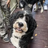 processed/1e9b5399-27da-4e3c-b608-c8bfaa1e2f68/facility/a9e93f46-056d-48f9-9763-8eb3a6e8f096