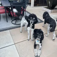 processed/1e9b5399-27da-4e3c-b608-c8bfaa1e2f68/facility/c0c8a147-24d7-4e93-b7d0-2d59ac143377