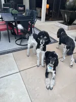 processed/1e9b5399-27da-4e3c-b608-c8bfaa1e2f68/facility/c0c8a147-24d7-4e93-b7d0-2d59ac143377