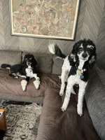 processed/1e9b5399-27da-4e3c-b608-c8bfaa1e2f68/facility/ff03a303-5475-4867-b5e5-f1613a10f7da