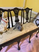 Merle girl, a female Pomeranian for sale in Fountain Inn, SC – Photo 2 of 6