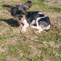 processed/1ea2d35c-3fa0-4f19-869a-fa5537790d70/facility/12183612-74b0-431d-bb3b-773c8aefbf91