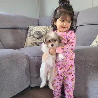 processed/1ea2d35c-3fa0-4f19-869a-fa5537790d70/facility/210468b8-bd66-4f7f-86a2-d36baec5c897