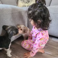 processed/1ea2d35c-3fa0-4f19-869a-fa5537790d70/facility/33483b85-794e-47ee-a8a7-3d5cbb647381