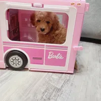 processed/1ea2d35c-3fa0-4f19-869a-fa5537790d70/facility/b50e4ab7-d5cc-4b93-b626-4f29000e3a93