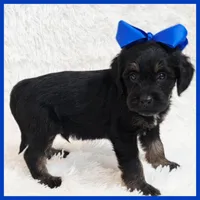 processed/1ea2d35c-3fa0-4f19-869a-fa5537790d70/listing/039b7503-69ac-4663-b767-df72b5d2cc32/c62d02ad-7dc7-4287-a927-b24baa9cf28f