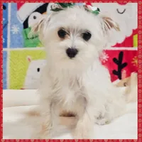 processed/1ea2d35c-3fa0-4f19-869a-fa5537790d70/listing/29d80be4-8e71-4dda-bb54-565d0aae96ce/ac201ac6-7e7a-4f2d-a9da-92346ccb0681