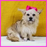 processed/1ea2d35c-3fa0-4f19-869a-fa5537790d70/listing/6a1509a5-2e8c-488c-a219-2537bd6c88ef/45a3682c-a7a5-4157-b50e-98203a3905ab