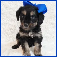 processed/1ea2d35c-3fa0-4f19-869a-fa5537790d70/listing/8e264381-5d14-486f-87e9-c5b8298962fc/32532b79-9f6b-440c-8b4c-013d1b91e7ea