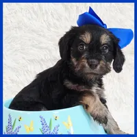 processed/1ea2d35c-3fa0-4f19-869a-fa5537790d70/listing/8e264381-5d14-486f-87e9-c5b8298962fc/43e6e82a-955a-40a3-8d10-04d9e3e21a43