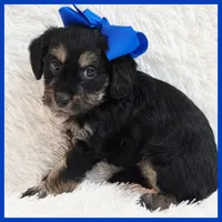 processed/1ea2d35c-3fa0-4f19-869a-fa5537790d70/listing/8e264381-5d14-486f-87e9-c5b8298962fc/cb89f7eb-5337-4d2e-99dd-adb26f0a0d42