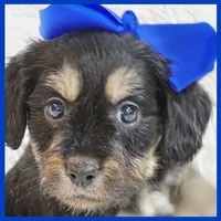 processed/1ea2d35c-3fa0-4f19-869a-fa5537790d70/listing/8e264381-5d14-486f-87e9-c5b8298962fc/fa2fc7f3-0ac6-4c1d-b3f2-06af811f6b86