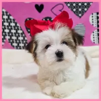 processed/1ea2d35c-3fa0-4f19-869a-fa5537790d70/listing/c3704299-ac62-4d44-92d1-f1a231588082/32dd37df-4735-4cf9-8cc9-607b754d6b3c