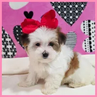 processed/1ea2d35c-3fa0-4f19-869a-fa5537790d70/listing/c3704299-ac62-4d44-92d1-f1a231588082/c8a71d5f-fa2d-4b48-ab55-6063da7c7a11